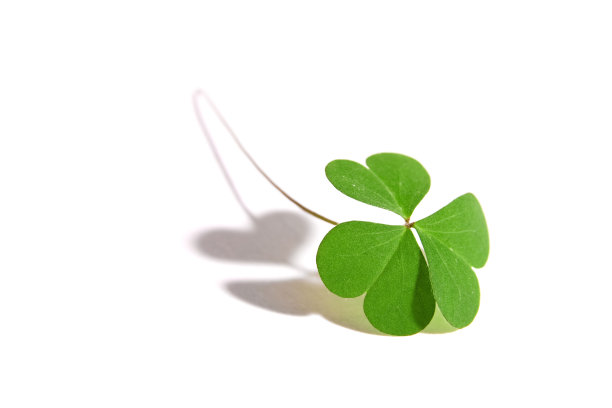 shamrock