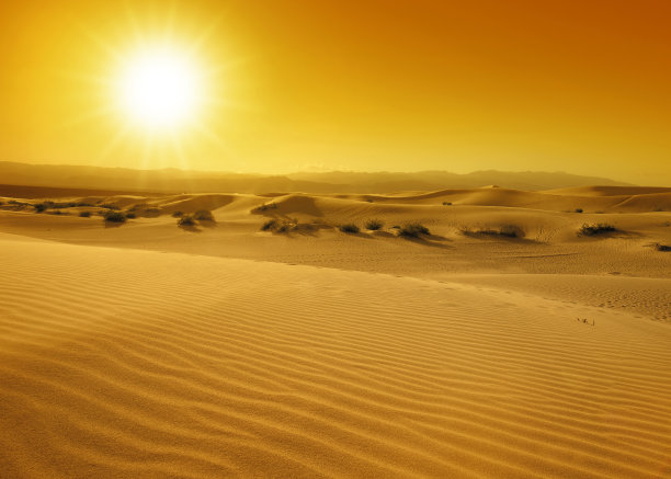 desert