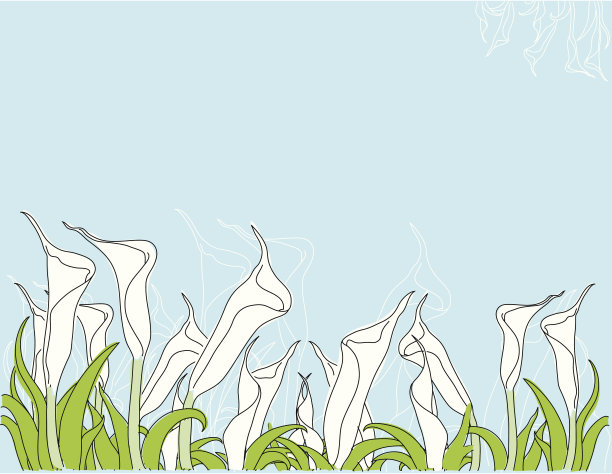 calla