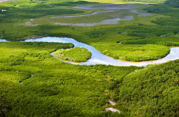 marsh