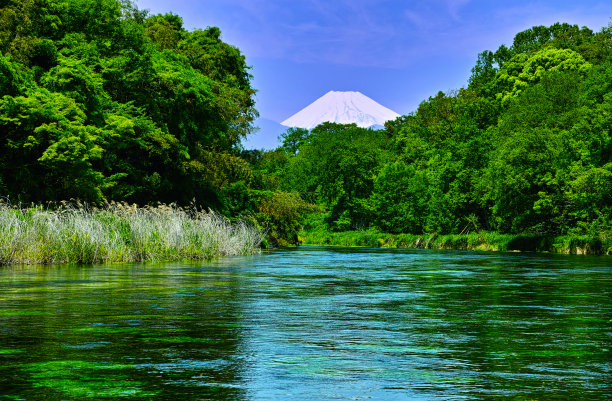 fuji