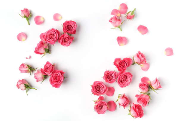 roses