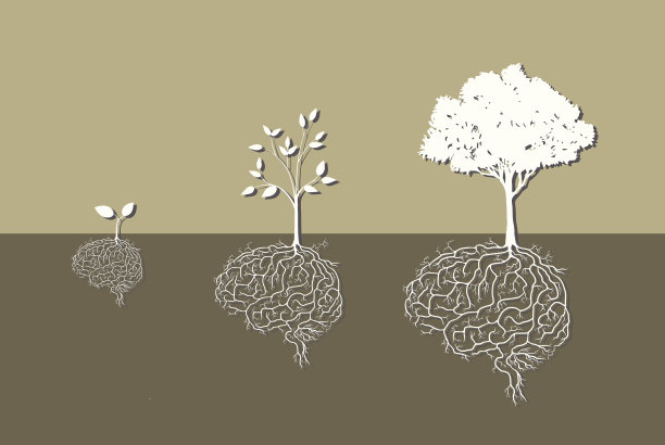brain