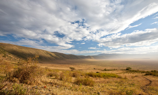 ngorongoro