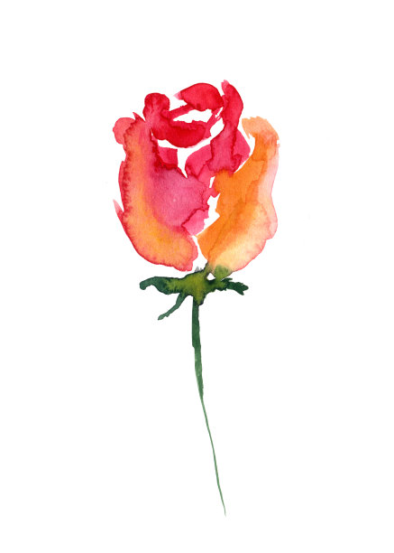 花簇,花,水彩画颜料