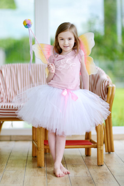 fairy