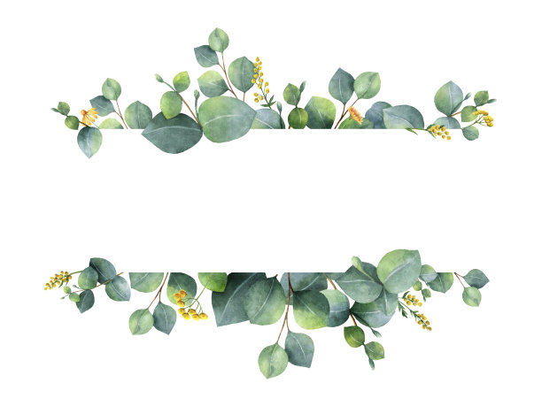 herb