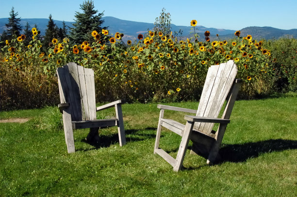 adirondack