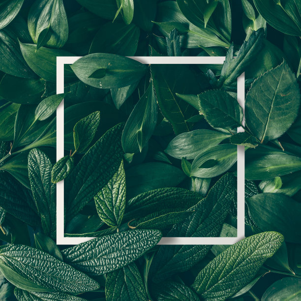 botanical