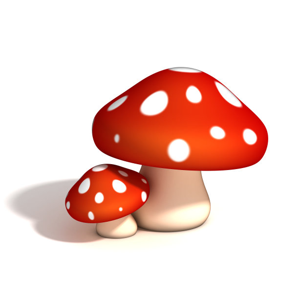 toadstool
