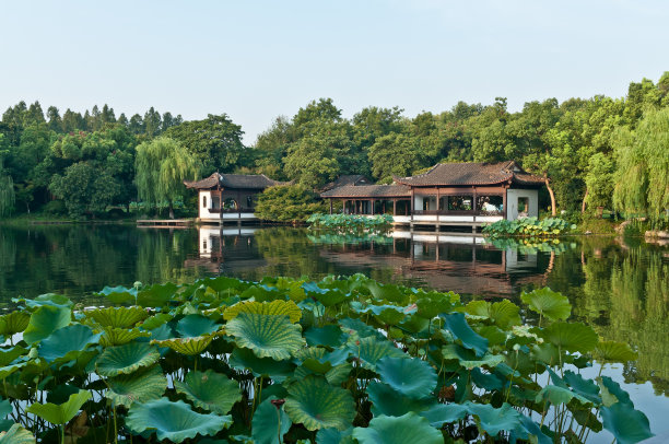 西湖莲藕