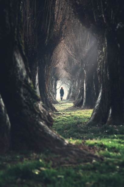 mysterious