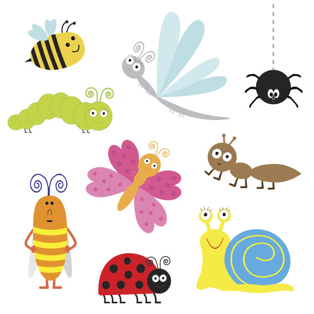 beetles