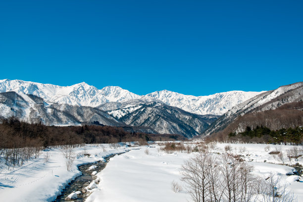 小白马