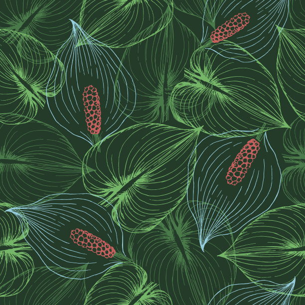 araceae