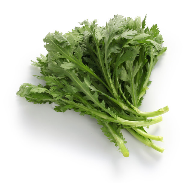 茼蒿
