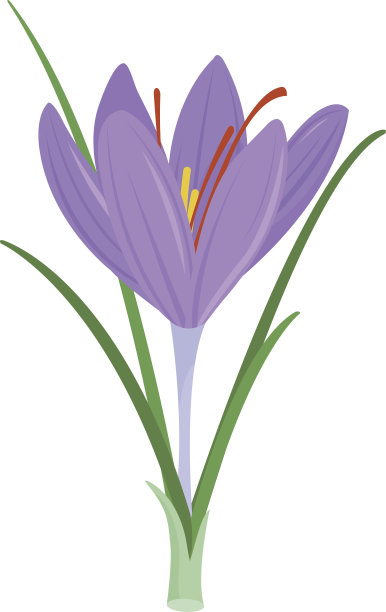 saffron