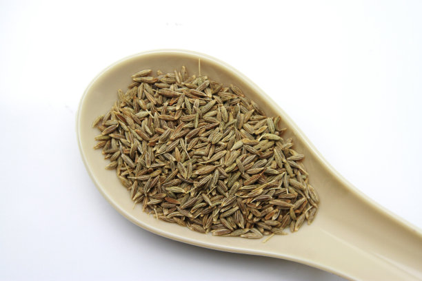 fennel