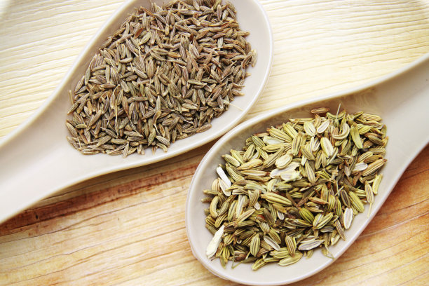 fennel