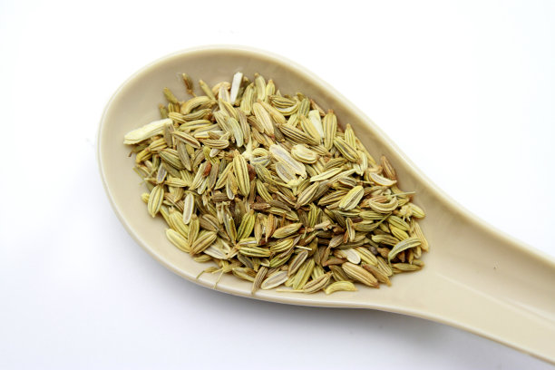 fennel