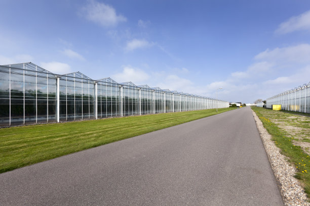greenhouse