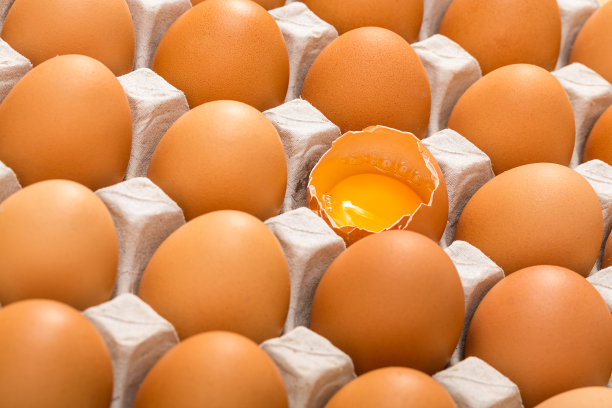 yolk