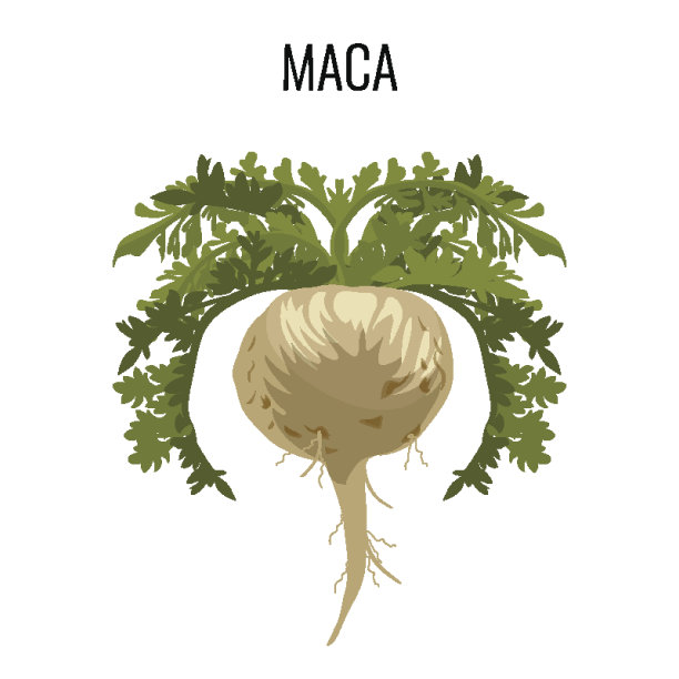 maca
