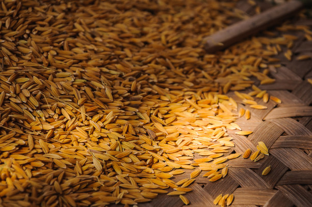 一片金黄色的水稻田