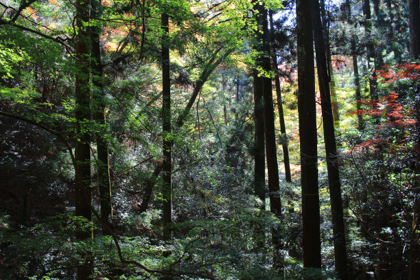 日本剑山