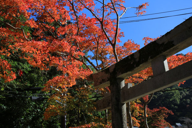 日本剑山