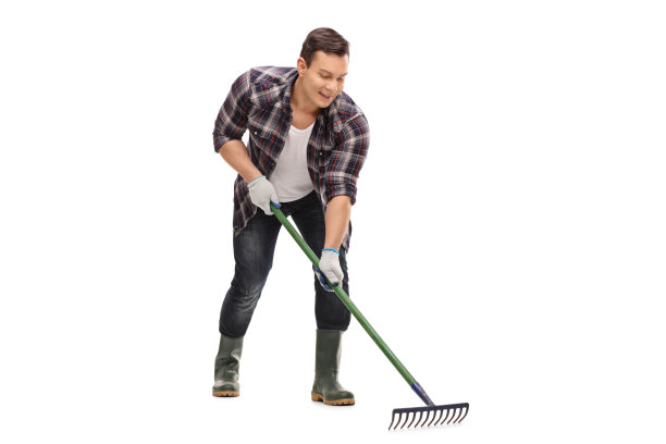 rake