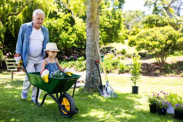 wheelbarrow