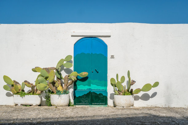 cacti