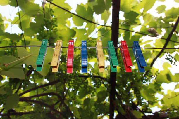 pegs