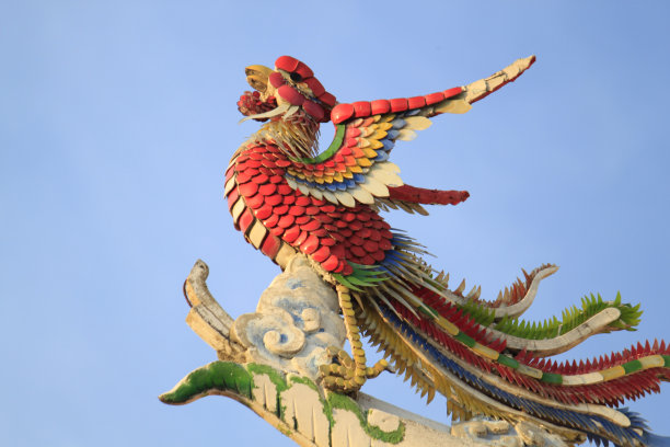 phoenix
