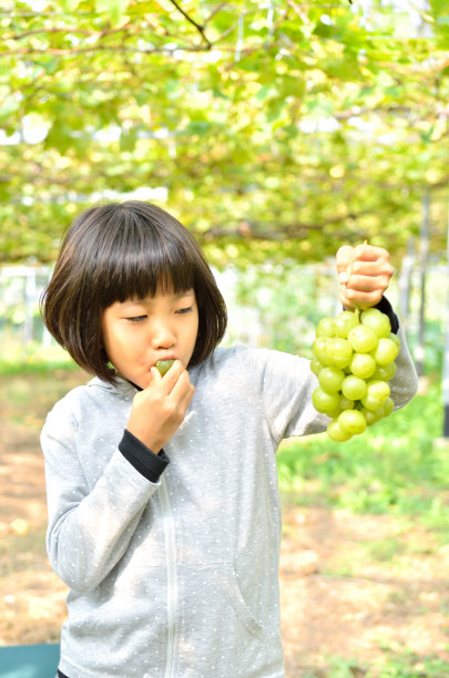 摘葡萄的少女