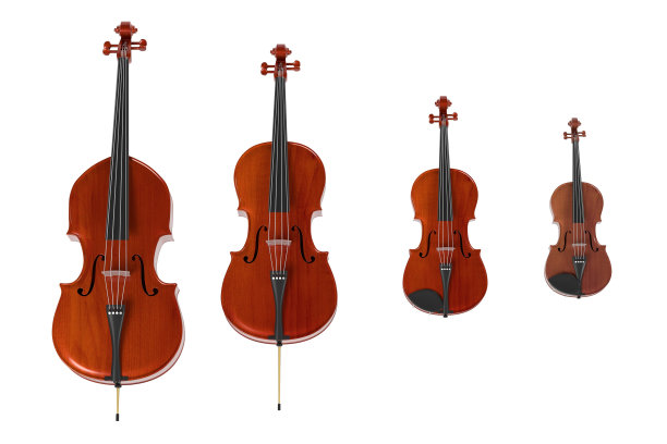 violin