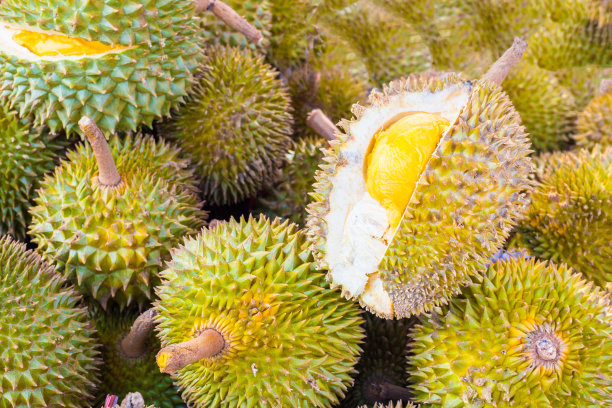 durian