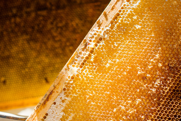 honey