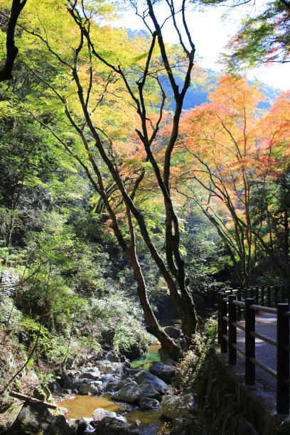 日本剑山