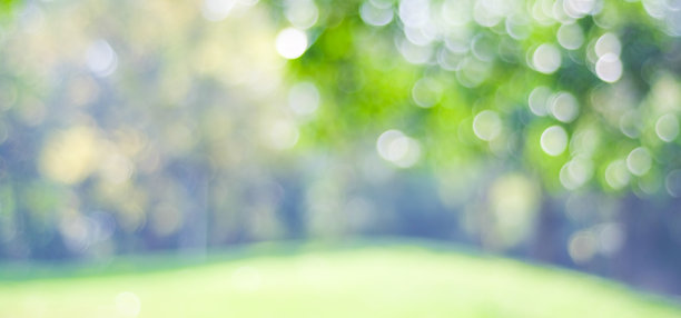 bokeh