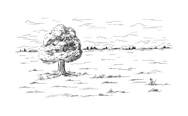 sketch