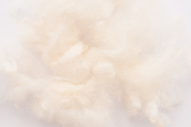 cotton