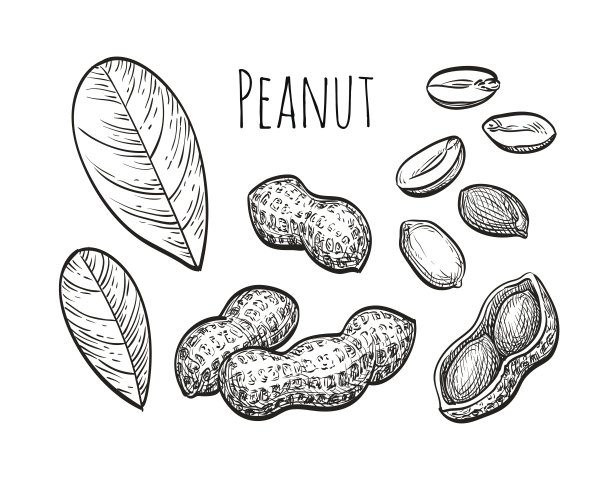 peanut