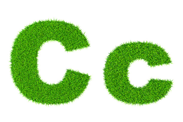 type-c
