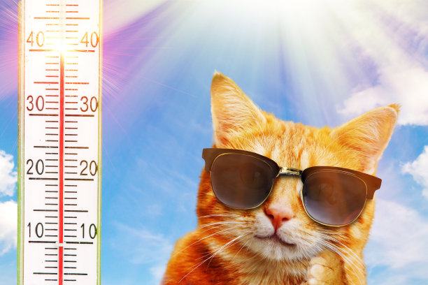 meteorology
