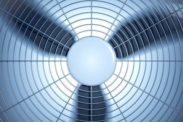 fan