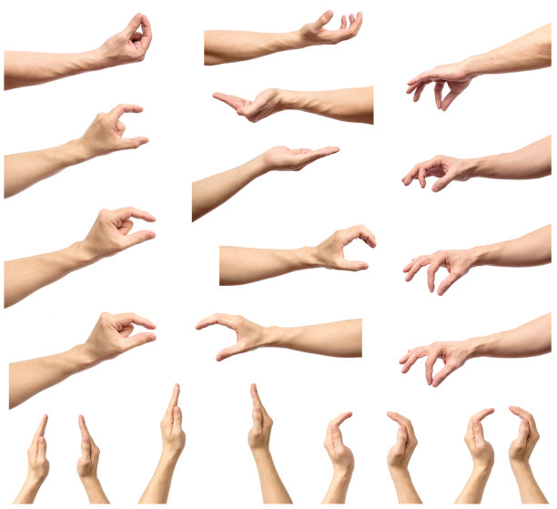 fingers