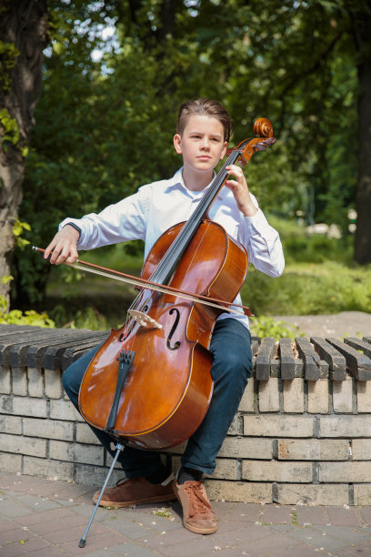 violin