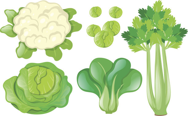 celery